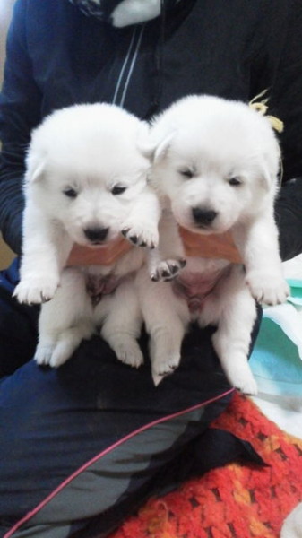 f:id:buhi84shin:20130117224553j:image f:id:buhi84shin:20130117224553j:image