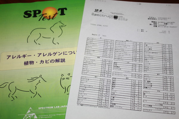 f:id:buhi84shin:20130119212824j:image