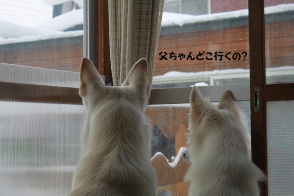 f:id:buhi84shin:20130120211719j:image