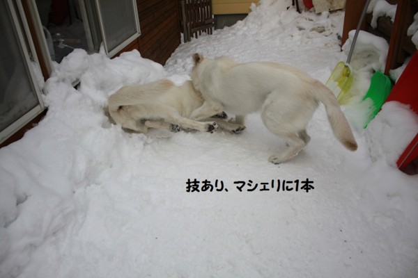 f:id:buhi84shin:20130131211710j:image