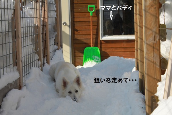 f:id:buhi84shin:20130220212355j:image