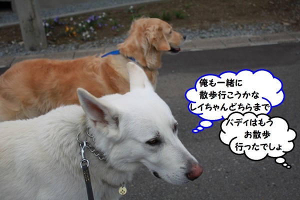 f:id:buhi84shin:20130507222001j:image