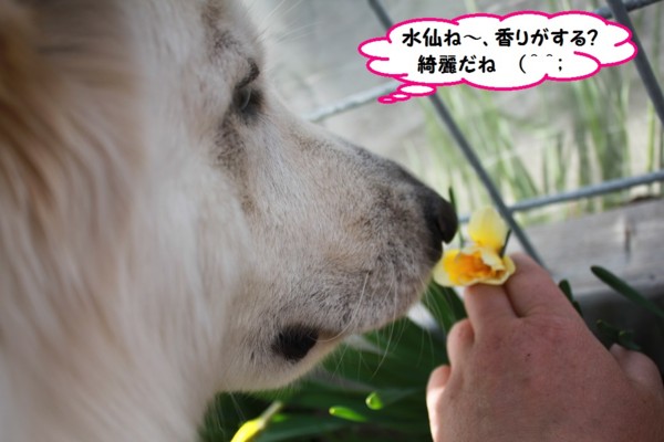 20130520212930