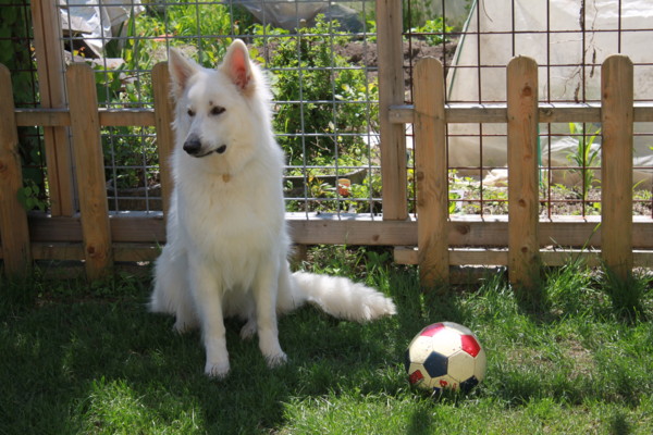 f:id:buhi84shin:20130607213857j:image f:id:buhi84shin:20130607213857j:image