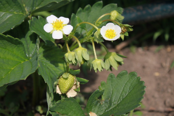 f:id:buhi84shin:20130607222029j:image f:id:buhi84shin:20130607222029j:image