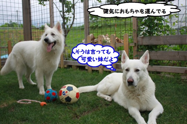f:id:buhi84shin:20130621222948j:image f:id:buhi84shin:20130621222948j:image