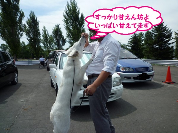 f:id:buhi84shin:20130714204126j:image