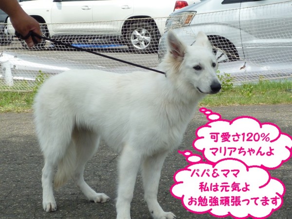 f:id:buhi84shin:20130714204127j:image f:id:buhi84shin:20130714204127j:image