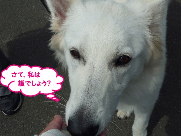 f:id:buhi84shin:20130714204129j:image f:id:buhi84shin:20130714204129j:image