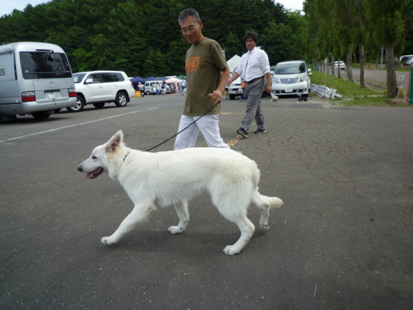 f:id:buhi84shin:20130714204638j:image f:id:buhi84shin:20130714204638j:image