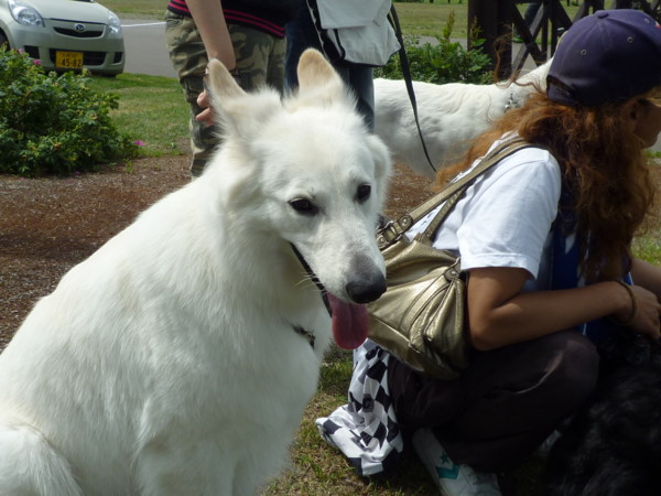 f:id:buhi84shin:20130714205726j:image f:id:buhi84shin:20130714205726j:image