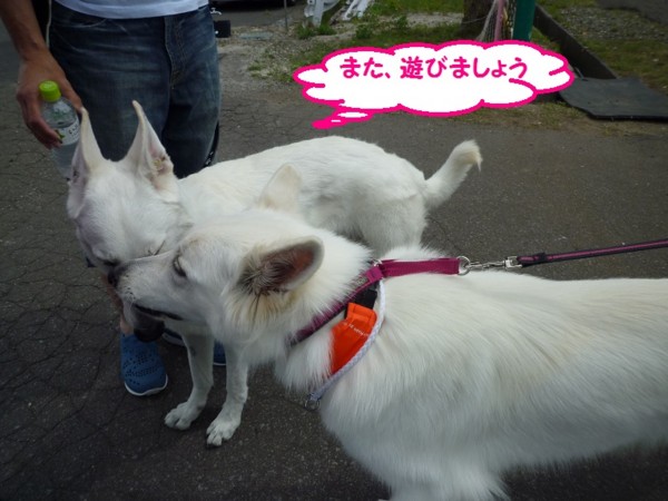 f:id:buhi84shin:20130714213052j:image f:id:buhi84shin:20130714213052j:image
