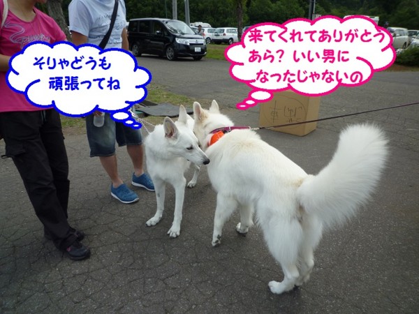 f:id:buhi84shin:20130714213233j:image f:id:buhi84shin:20130714213233j:image