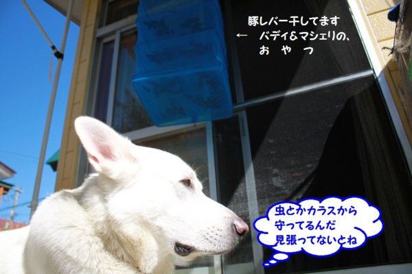 f:id:buhi84shin:20130802105630j:image