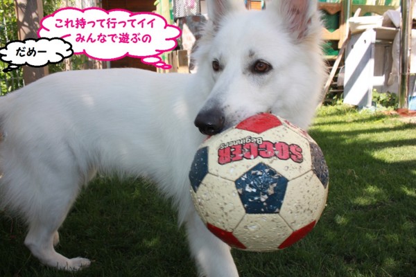 f:id:buhi84shin:20130802112212j:image