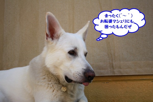 f:id:buhi84shin:20130802112717j:image
