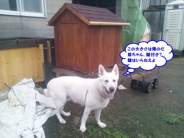 f:id:buhi84shin:20130809215437j:image f:id:buhi84shin:20130809215437j:image