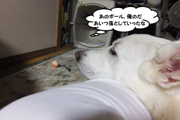 f:id:buhi84shin:20131003221806j:image