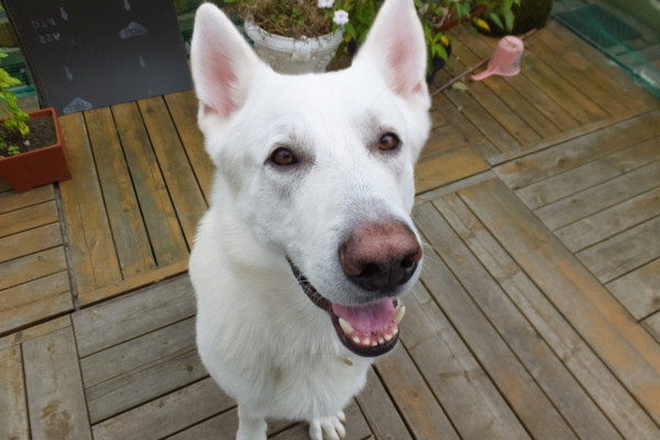 f:id:buhi84shin:20131008143420j:image