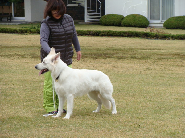 f:id:buhi84shin:20131026213450j:image