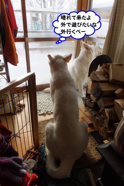 f:id:buhi84shin:20131128190639j:image
