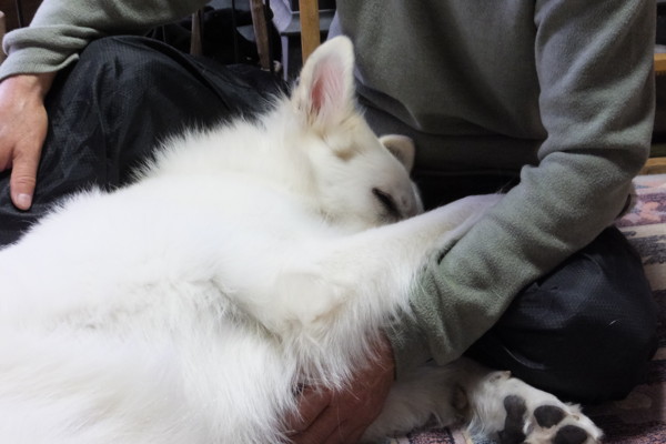 f:id:buhi84shin:20131130212217j:image f:id:buhi84shin:20131130212217j:image