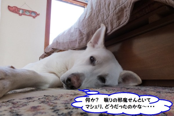 f:id:buhi84shin:20131214205621j:image