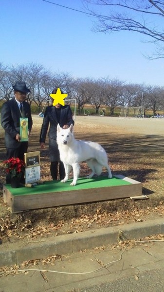 f:id:buhi84shin:20131214210453j:image