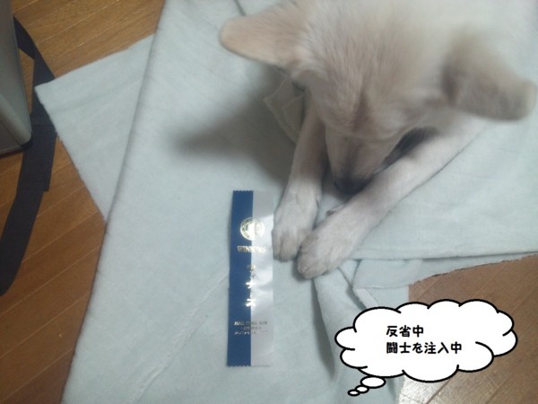 f:id:buhi84shin:20131214211306j:image