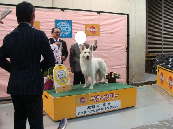 f:id:buhi84shin:20131215231206j:image f:id:buhi84shin:20131215231206j:image