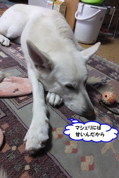 f:id:buhi84shin:20131229211337j:image f:id:buhi84shin:20131229211337j:image