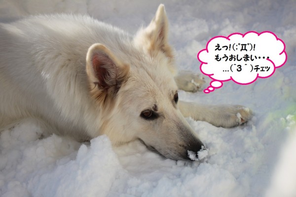 f:id:buhi84shin:20131231203845j:image