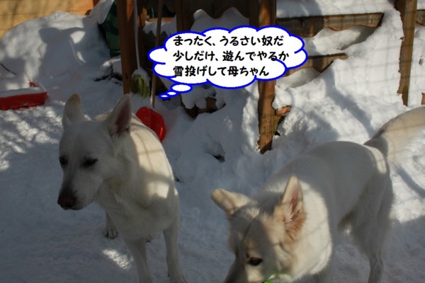 f:id:buhi84shin:20131231203846j:image