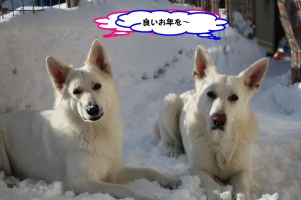 f:id:buhi84shin:20131231210640j:image