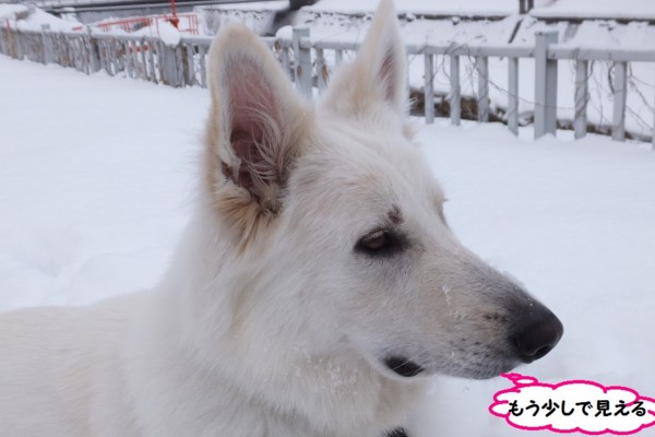 f:id:buhi84shin:20140101184216j:image f:id:buhi84shin:20140101184216j:image