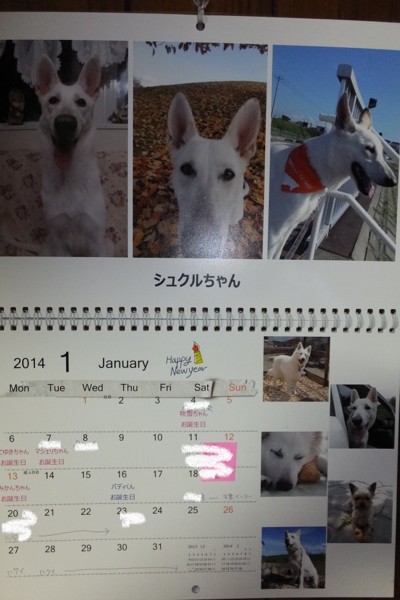 f:id:buhi84shin:20140101185740j:image f:id:buhi84shin:20140101185740j:image