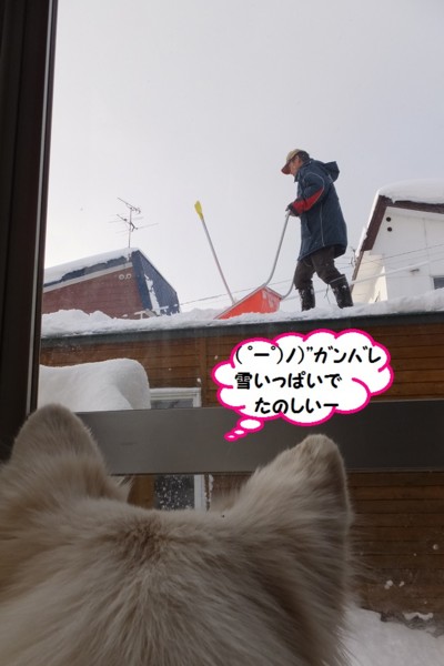 f:id:buhi84shin:20140102212928j:image