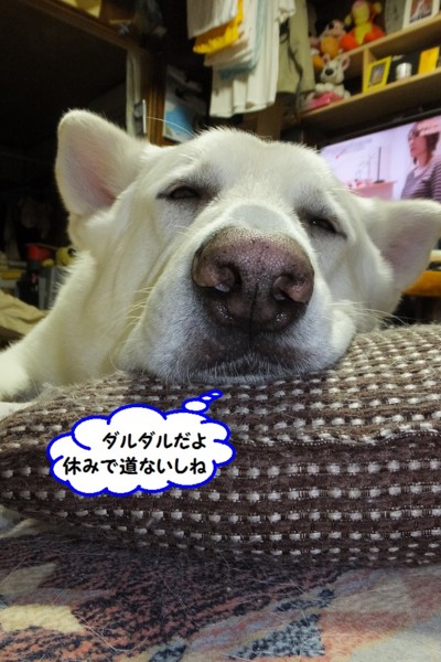 f:id:buhi84shin:20140102213558j:image