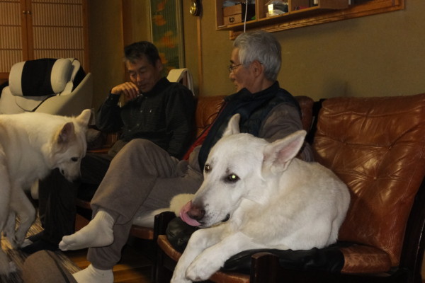 f:id:buhi84shin:20140102223730j:image