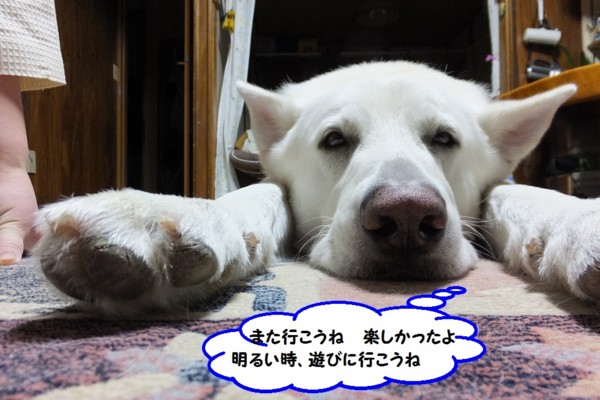 f:id:buhi84shin:20140102225555j:image