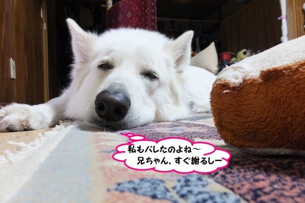 f:id:buhi84shin:20140103201939j:image