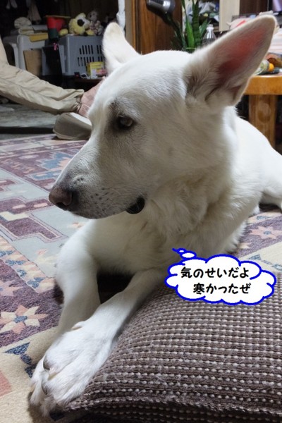 f:id:buhi84shin:20140106214025j:image