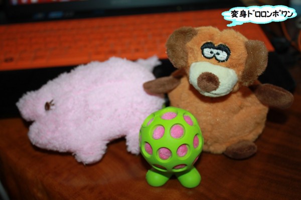 f:id:buhi84shin:20140107200451j:image