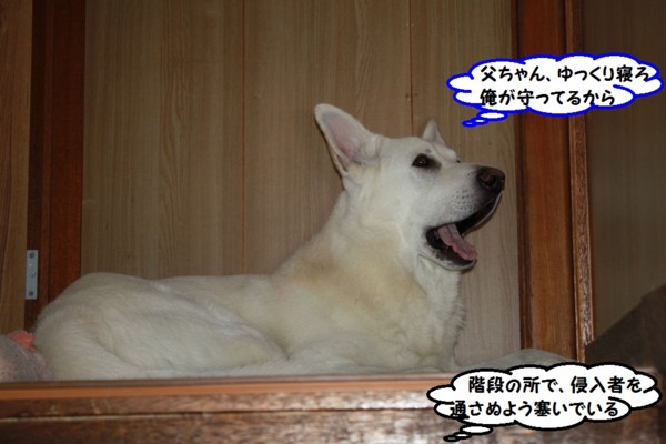 f:id:buhi84shin:20140108202505j:image