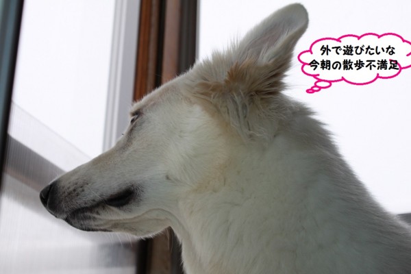 f:id:buhi84shin:20140108215805j:image