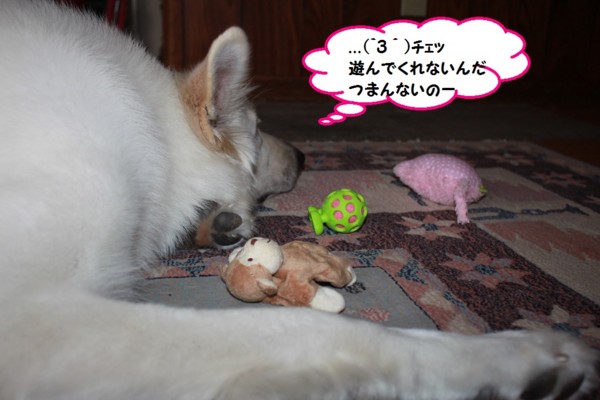 f:id:buhi84shin:20140109225324j:image