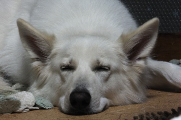 f:id:buhi84shin:20140112221927j:image f:id:buhi84shin:20140112221927j:image
