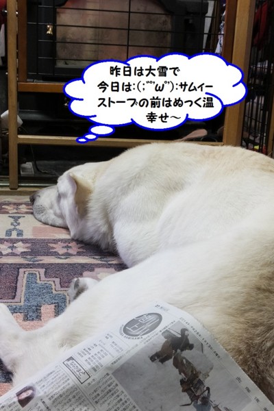f:id:buhi84shin:20140113212934j:image