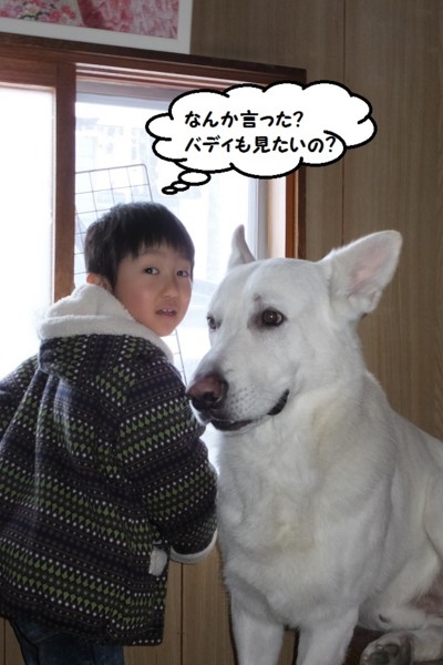 f:id:buhi84shin:20140113213939j:image