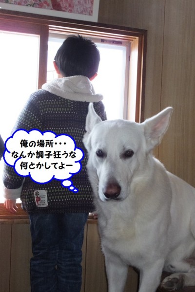 f:id:buhi84shin:20140113213941j:image